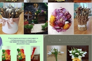 Выпускная сессия обучающихся 3 курса детского объединения «Экологи-флористы» краевой заочной школы (образовательный блок «Ноосфера»)