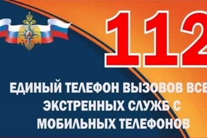 Информация по мобильным приложениям «Система 112» и «МЧС России».