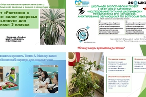 Продолжается краевая дистанционная игра «Школа – территория здоровья»